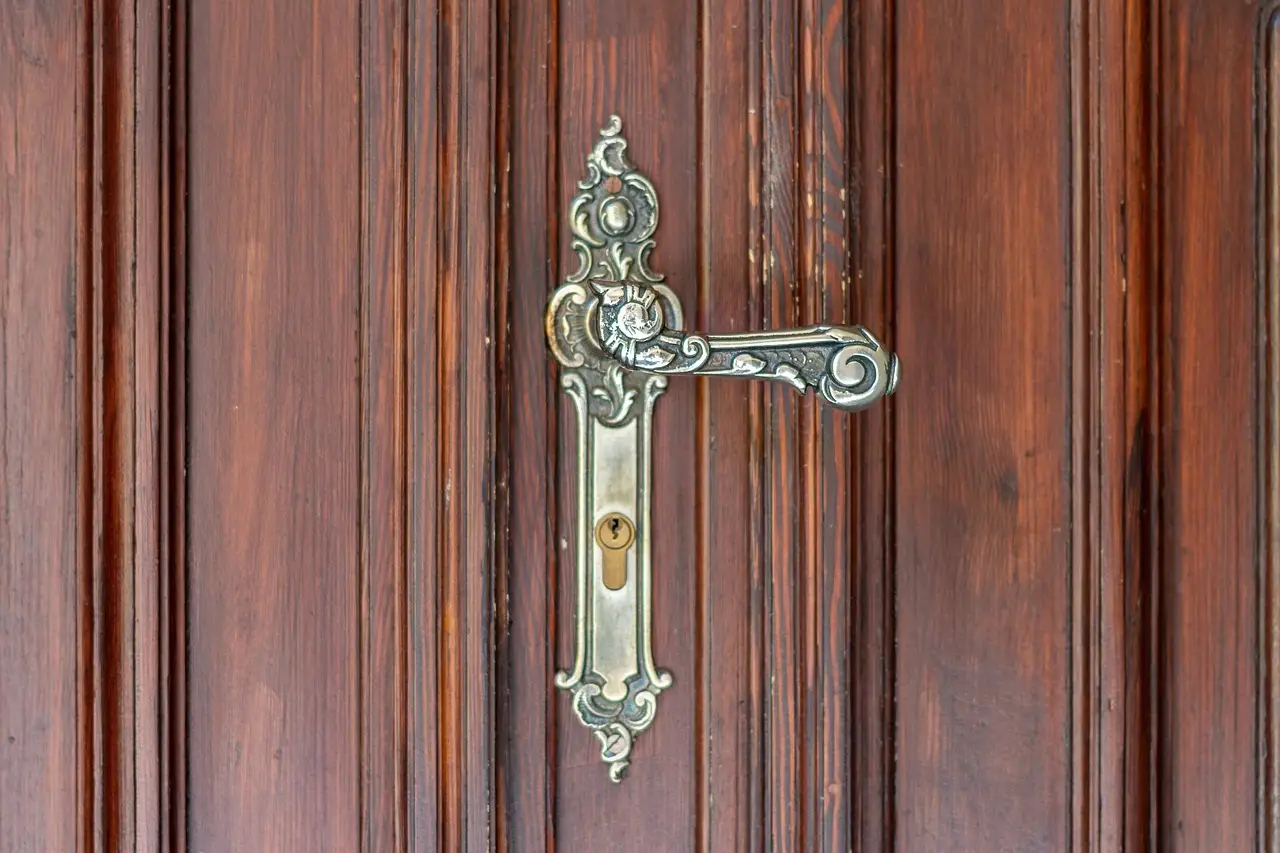 Immagine selezionata