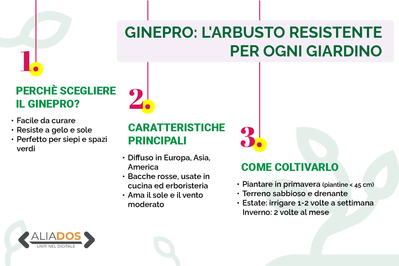Immagine selezionata